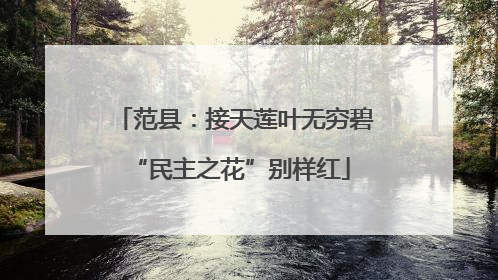 范县：接天莲叶无穷碧 “民主之花”别样红