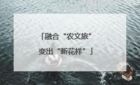 融合“农文旅” 变出“新花样”