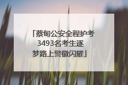 蔡甸公安全程护考 3493名考生逐梦路上警徽闪耀