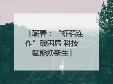 蕲春：“虾稻连作”破困局 科技赋能焕新生