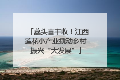 藠头喜丰收！江西莲花小产业撬动乡村振兴“大发展”