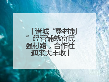 诸城“整村制”经营铺就富民强村路，合作社迎来大丰收