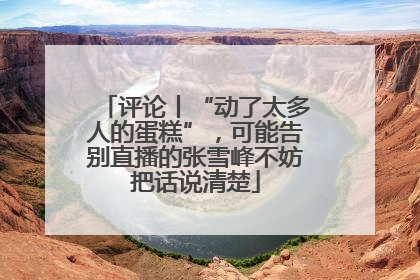 评论丨“动了太多人的蛋糕”，可能告别直播的张雪峰不妨把话说清楚