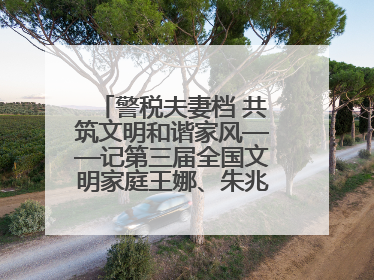 警税夫妻档 共筑文明和谐家风——记第三届全国文明家庭王娜、朱兆鹏家庭