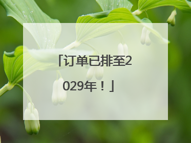 订单已排至2029年！