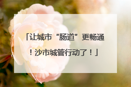 让城市“肠道”更畅通！沙市城管行动了！