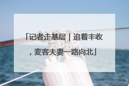 记者走基层｜追着丰收，麦客夫妻一路向北