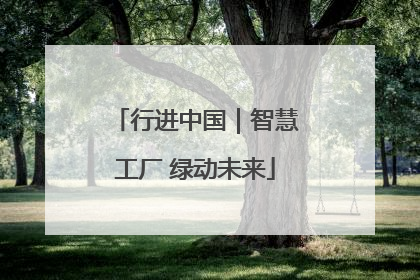 行进中国｜智慧工厂 绿动未来