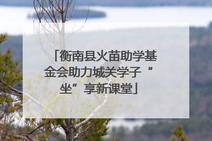 衡南县火苗助学基金会助力城关学子“坐”享新课堂