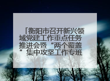 衡阳市召开新兴领域党建工作重点任务推进会暨“两个覆盖”集中攻坚工作专班 第一次会议