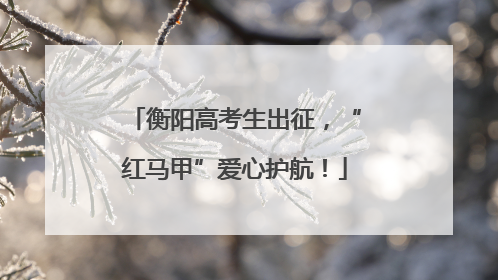衡阳高考生出征，“红马甲”爱心护航！