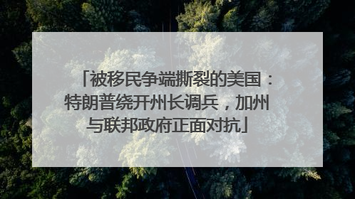 被移民争端撕裂的美国：特朗普绕开州长调兵，加州与联邦政府正面对抗