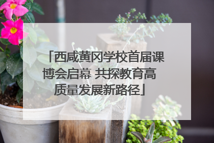 西咸黄冈学校首届课博会启幕 共探教育高质量发展新路径