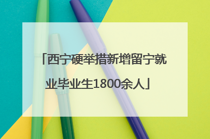 西宁硬举措新增留宁就业毕业生1800余人