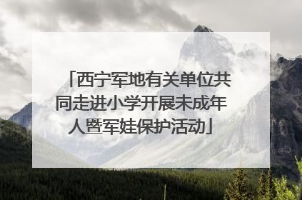 西宁军地有关单位共同走进小学开展未成年人暨军娃保护活动