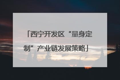 西宁开发区“量身定制”产业链发展策略
