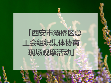 西安市灞桥区总工会组织集体协商现场观摩活动