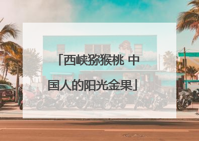 西峡猕猴桃 中国人的阳光金果