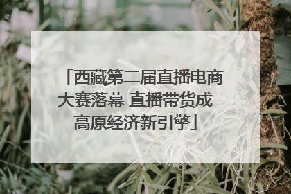 西藏第二届直播电商大赛落幕 直播带货成高原经济新引擎