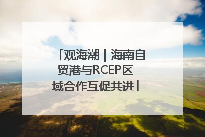 观海潮｜海南自贸港与RCEP区域合作互促共进