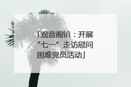 观音阁镇：开展“七一”走访慰问困难党员活动