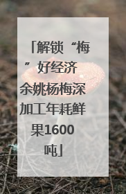 解锁“梅”好经济 余姚杨梅深加工年耗鲜果1600吨