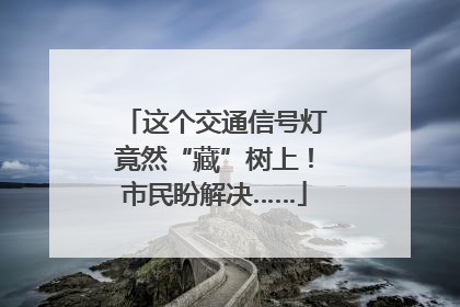 这个交通信号灯竟然“藏”树上！市民盼解决……
