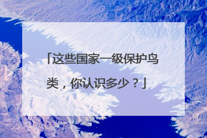 这些国家一级保护鸟类，你认识多少？