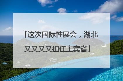 这次国际性展会，湖北又又又又担任主宾省