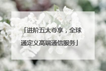 进阶五大尊享，全球通定义高端通信服务