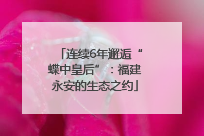 连续6年邂逅“蝶中皇后”：福建永安的生态之约