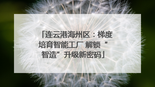 连云港海州区：梯度培育智能工厂 解锁“智造”升级新密码