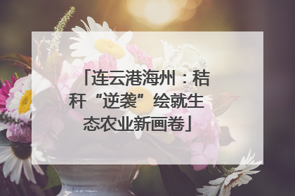连云港海州：秸秆“逆袭”绘就生态农业新画卷
