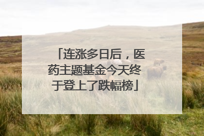 连涨多日后，医药主题基金今天终于登上了跌幅榜