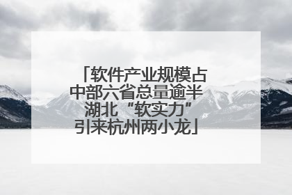 软件产业规模占中部六省总量逾半 湖北“软实力”引来杭州两小龙