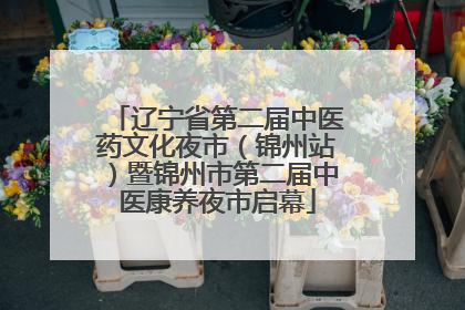 辽宁省第二届中医药文化夜市（锦州站）暨锦州市第二届中医康养夜市启幕