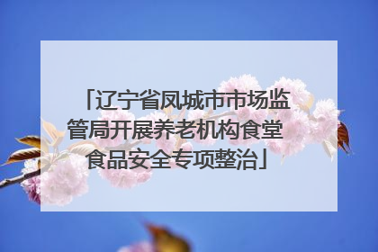 辽宁省凤城市市场监管局开展养老机构食堂食品安全专项整治