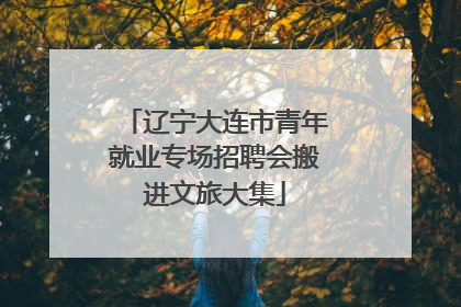 辽宁大连市青年就业专场招聘会搬进文旅大集