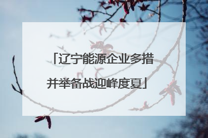 辽宁能源企业多措并举备战迎峰度夏