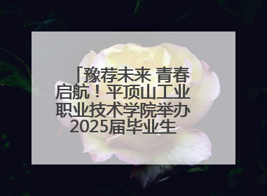 豫荐未来 青春启航！平顶山工业职业技术学院举办2025届毕业生夏季招聘会
