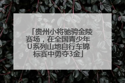 贵州小将驰骋金陵赛场，在全国青少年U系列山地自行车锦标赛中勇夺3金