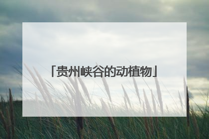 贵州峡谷的动植物