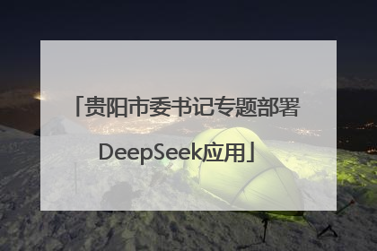 贵阳市委书记专题部署DeepSeek应用