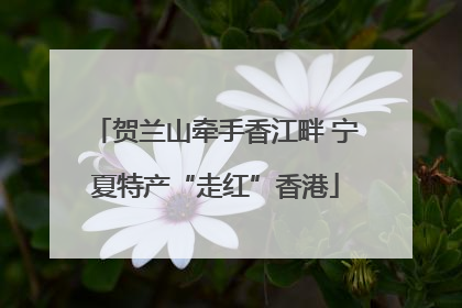 贺兰山牵手香江畔 宁夏特产“走红”香港