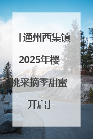 通州西集镇2025年樱桃采摘季甜蜜开启