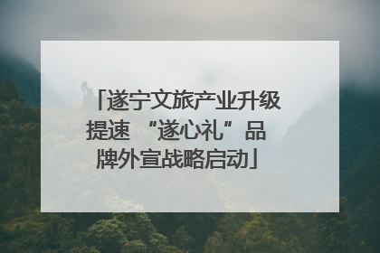 遂宁文旅产业升级提速 “遂心礼”品牌外宣战略启动