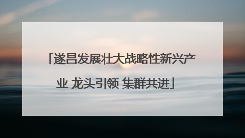 遂昌发展壮大战略性新兴产业 龙头引领 集群共进