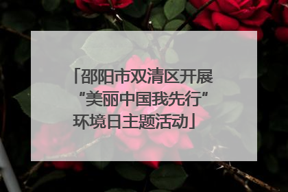 邵阳市双清区开展“美丽中国我先行”环境日主题活动