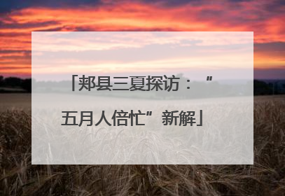 郏县三夏探访：“五月人倍忙”新解