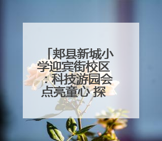 郏县新城小学迎宾街校区：科技游园会点亮童心 探索之旅启航未来
